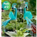 Vibrant Peacock Flower Seeds Pack of 2
